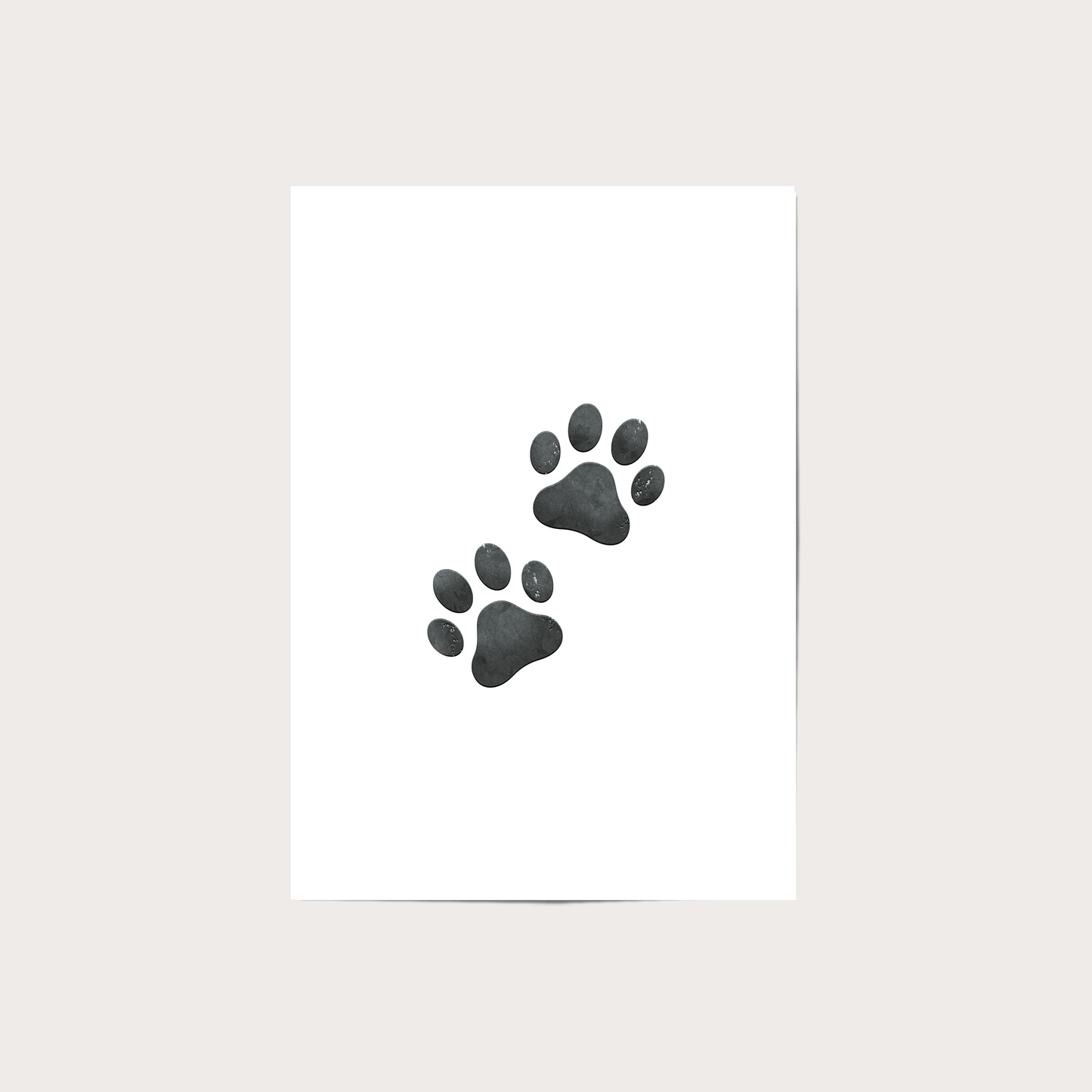 Safari - Paw Prints